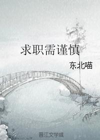 叶清清沈从安现代小说叫什么