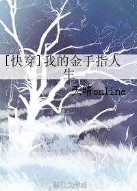 沈祟宋宴汐宋安安