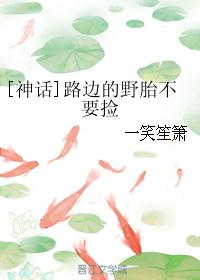 韦浩李丽质全文免费阅读