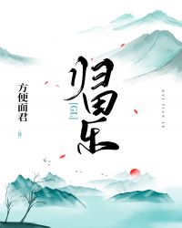 王婿叶凡